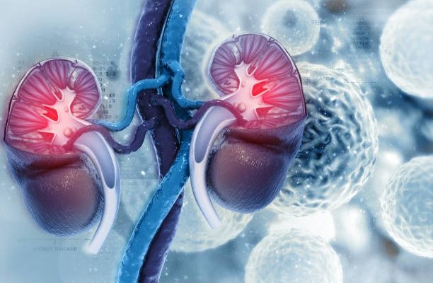 Strong from the Inside Urology and Longevity