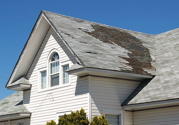 Simple Roof Maintenance Tips That Save You Money on Repairs