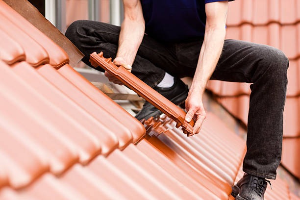 Why Choose Professionals for Roof Repairs Capital Region Homes